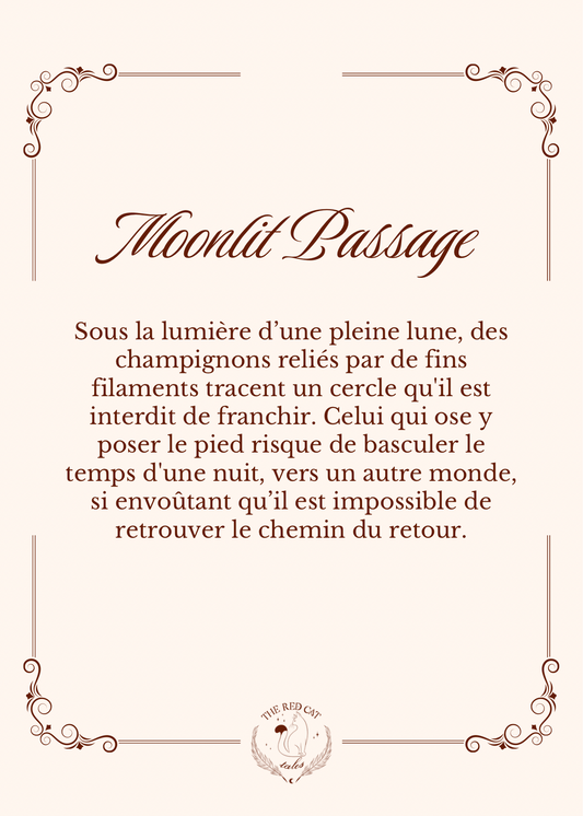 Moonlit Passage