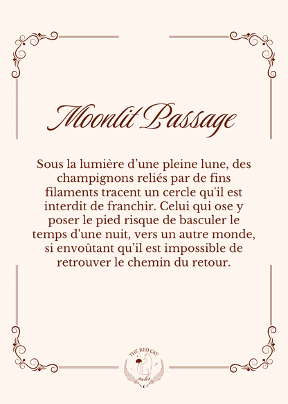 Moonlit Passage