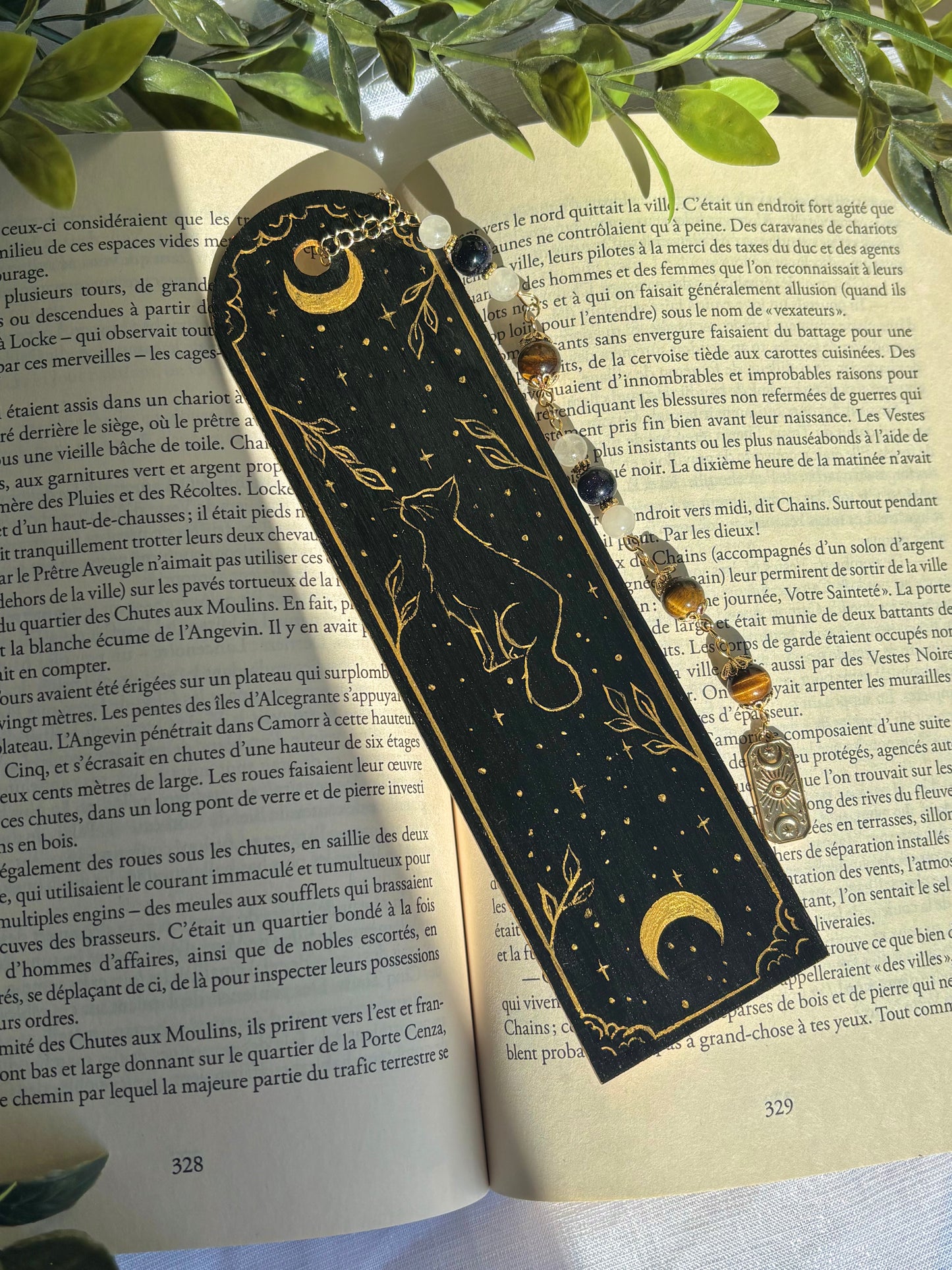 The Moon’s Shadow