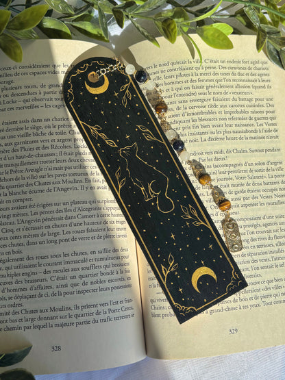 The Moon’s Shadow