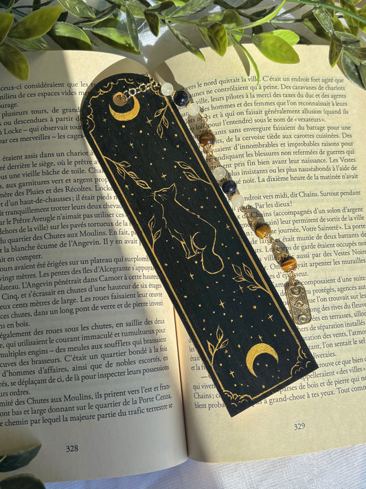 The Moon’s Shadow