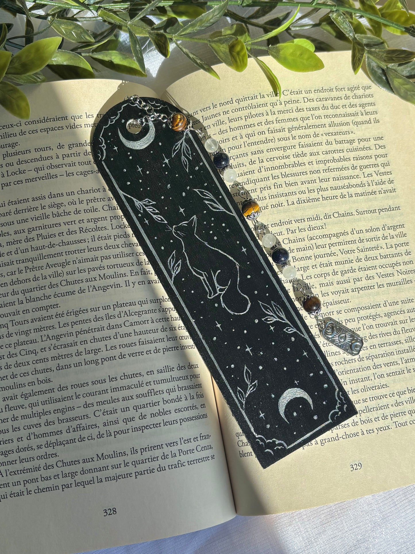 The Moon’s Shadow
